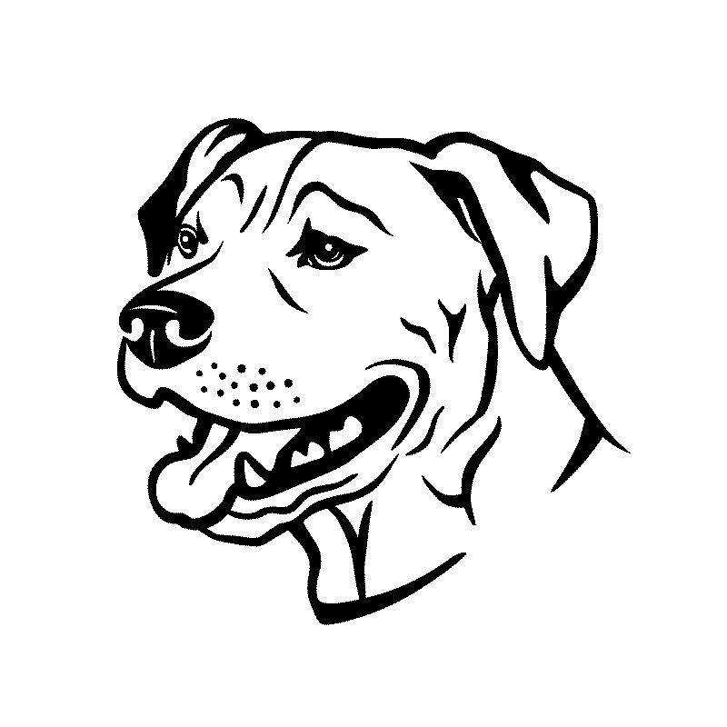 pit bull drawing